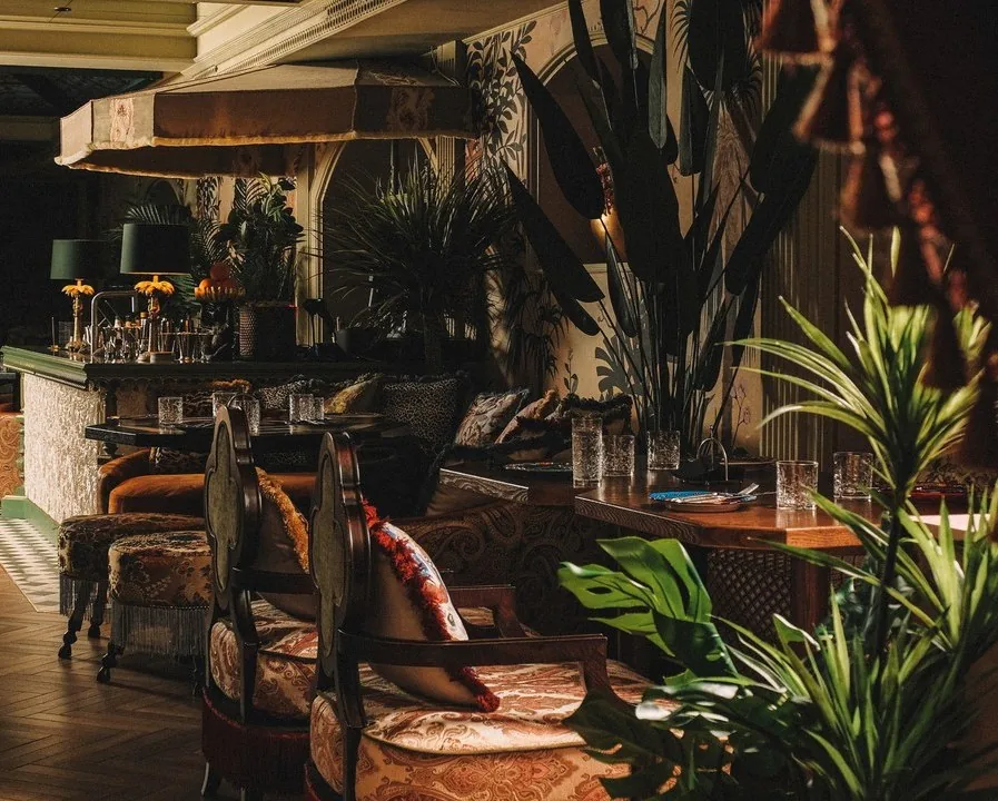 The bar room: velvet armchairs, damask cushions, palms and lamps along the bar